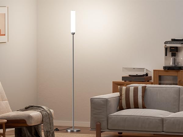 65" LED Floor Lamp with Remote & Foot Switch - Adjustable 3000K-6500K Colors, 5%-100% Brightness