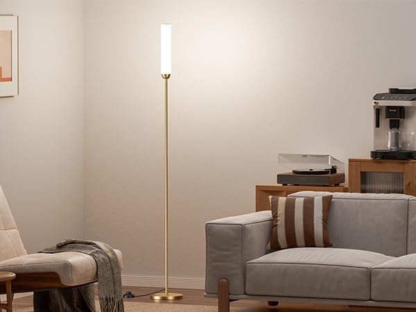 65" LED Floor Lamp with Remote & Foot Switch - Adjustable 3000K-6500K Colors, 5%-100% Brightness