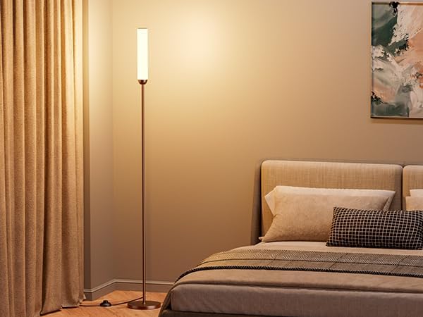 65" LED Floor Lamp with Remote & Foot Switch - Adjustable 3000K-6500K Colors, 5%-100% Brightness