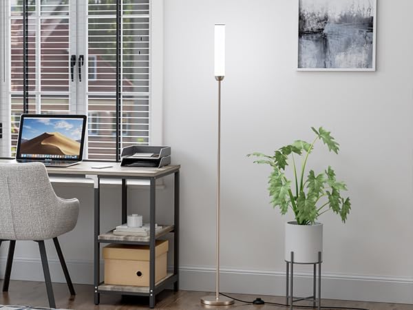 65" LED Floor Lamp with Remote & Foot Switch - Adjustable 3000K-6500K Colors, 5%-100% Brightness