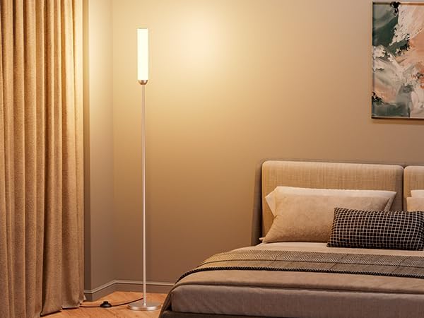 65" LED Floor Lamp with Remote & Foot Switch - Adjustable 3000K-6500K Colors, 5%-100% Brightness