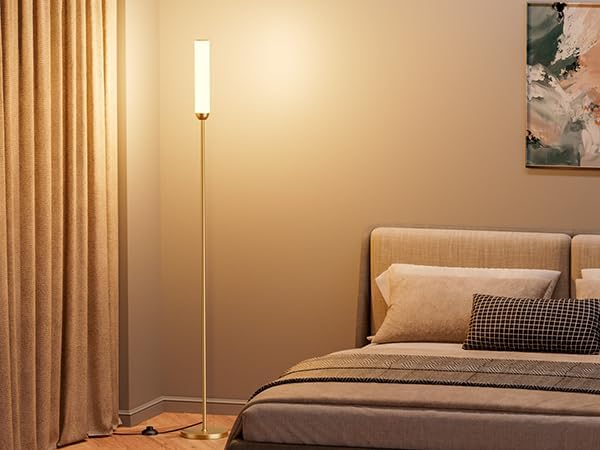65" LED Floor Lamp with Remote & Foot Switch - Adjustable 3000K-6500K Colors, 5%-100% Brightness