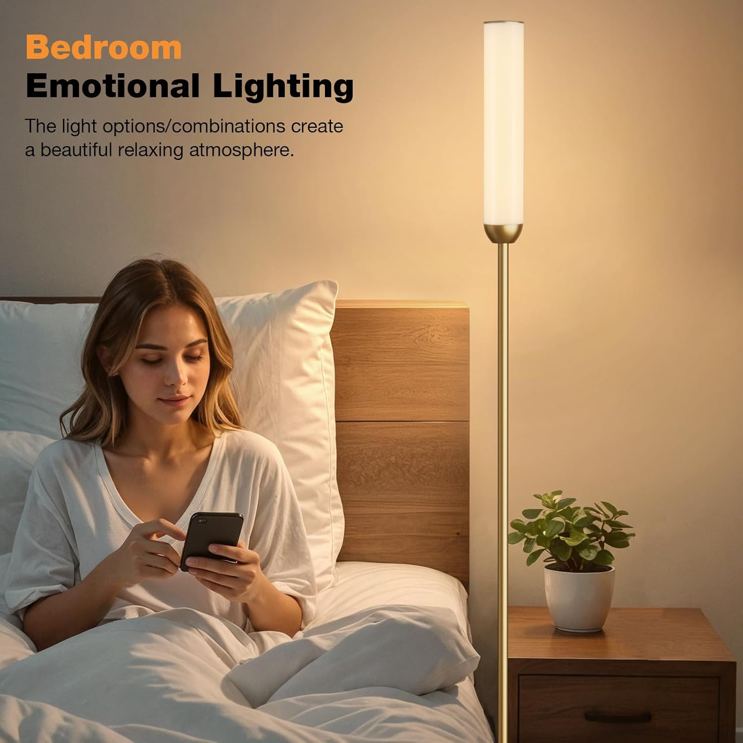 65" LED Floor Lamp with Remote & Foot Switch - Adjustable 3000K-6500K Colors, 5%-100% Brightness